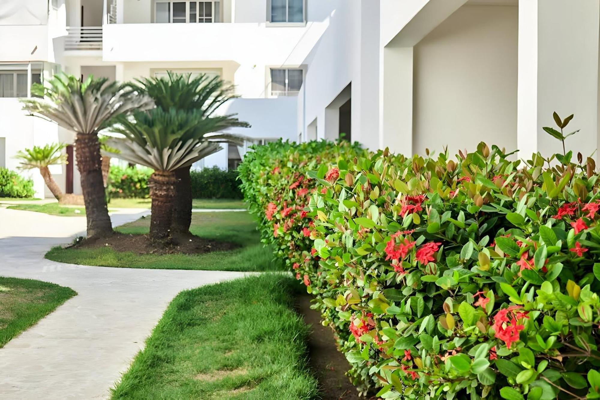 Los Corales Beach Village Punta Cana - The Original 외부 사진